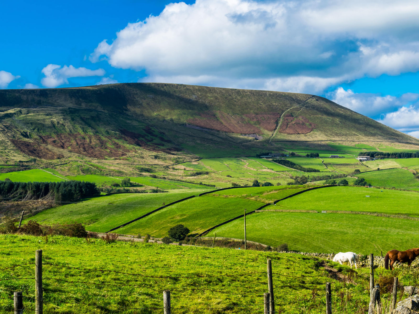 Pendle Hill